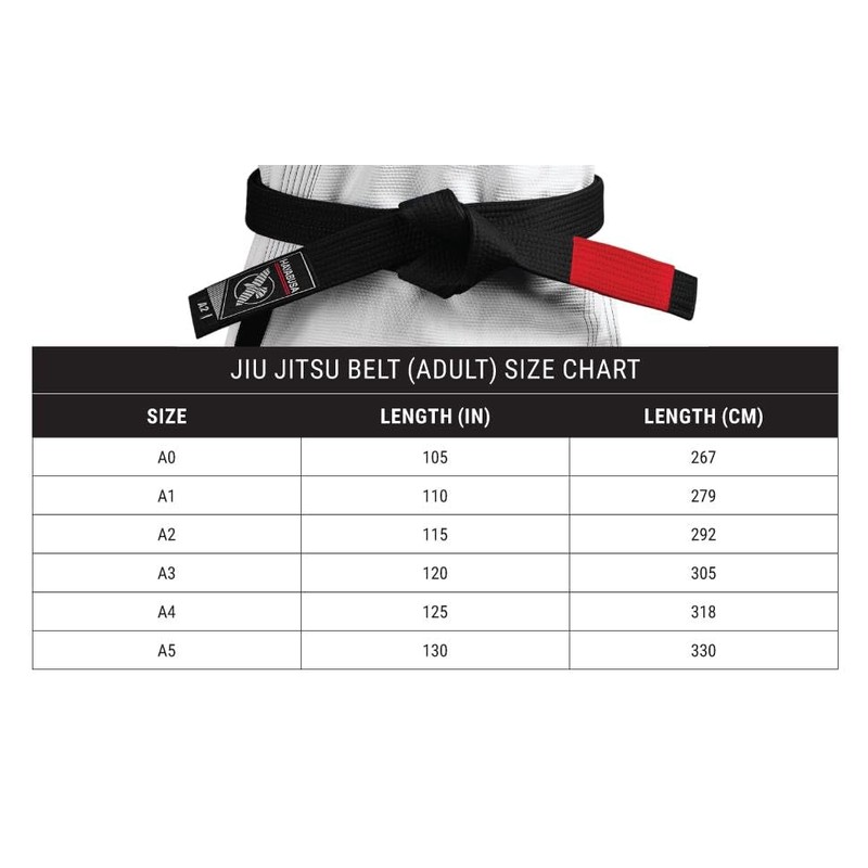 Hayabusa 2.0 Adult Jiu Jitsu Belt - Purple, A4