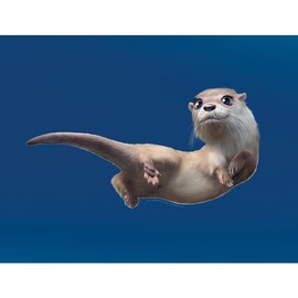 CafePress PD Moreno's Otter Super Soft Plush Fleece Throw Blanket, 30"x40"