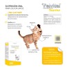 Holland Felvital Taurina, Vitaminas Y Antioxidantes P/gatos
