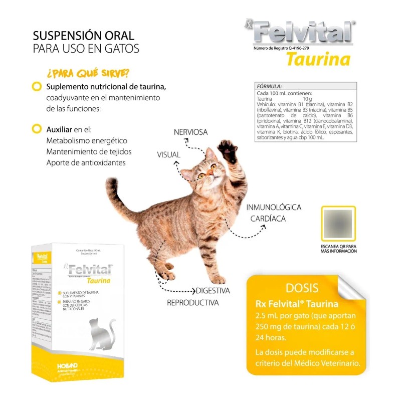 Holland Felvital Taurina, Vitaminas Y Antioxidantes P/gatos