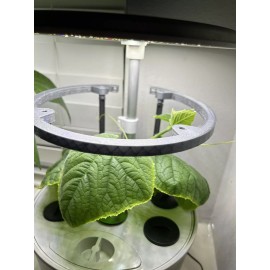 AeroGarden Harvest 360 Trellis