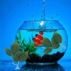 Xinjoduz 3 PCS Betta Leaf Hammock Fish Leaf Pad Fish