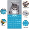 2025 Wall Calendar - Funny Cat Calendar 2025, 9.64" x