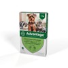 Advantage Spot On Flea Treatment 40 Small Cats Dogs and