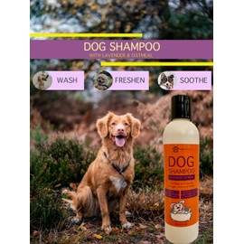 Pet Lavender Oatmeal Shampoo! Smelly or Itchy Dog? Relief for Allergies, Itchy, Dry, Irritated Skin!! Amazing Lavender Smell,8 fl oz Yellow