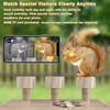Wooden Squirrel Feeder with HD Camera, Solar-Powered Outdoor Squirrel Bar,