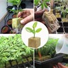 WANYI Rockwool Cultivation, Rockwool Cube, Rock Wool Insulation, Rock Wool