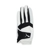 Puma Golf Phantom Leather Gloves (Left Hand), Men's, Bright White,