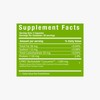CurcuminPro Complete Vegan | BioSoluble Brown Rice Protein & Organic