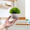 4 Macetas de Plantas Artificiales Decorativas Hogar,Pequeños Arbustos Artificiales de