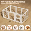 LoveTail Clear Acrylic Dog Playpen Indoor,Transparent Dog Pen,Easy to Assemble