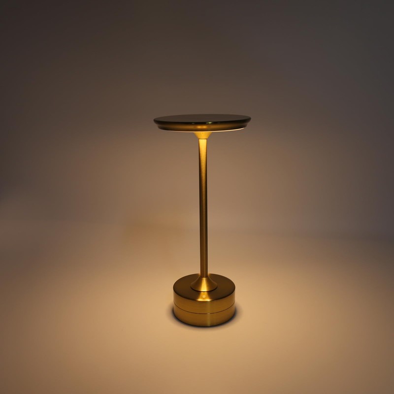 DAUERHAFT LED Table Lamp ,USB C Aluminum Shell Cordless Bedside