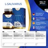 LN Lactobacillus Salivarius | 90 Lactobacillus Salivarius Probiotic Capsules -