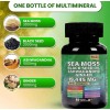 Tarmya (2 Pack) Tarmya’s Sea Moss Black Seed Oil Ashwagandha