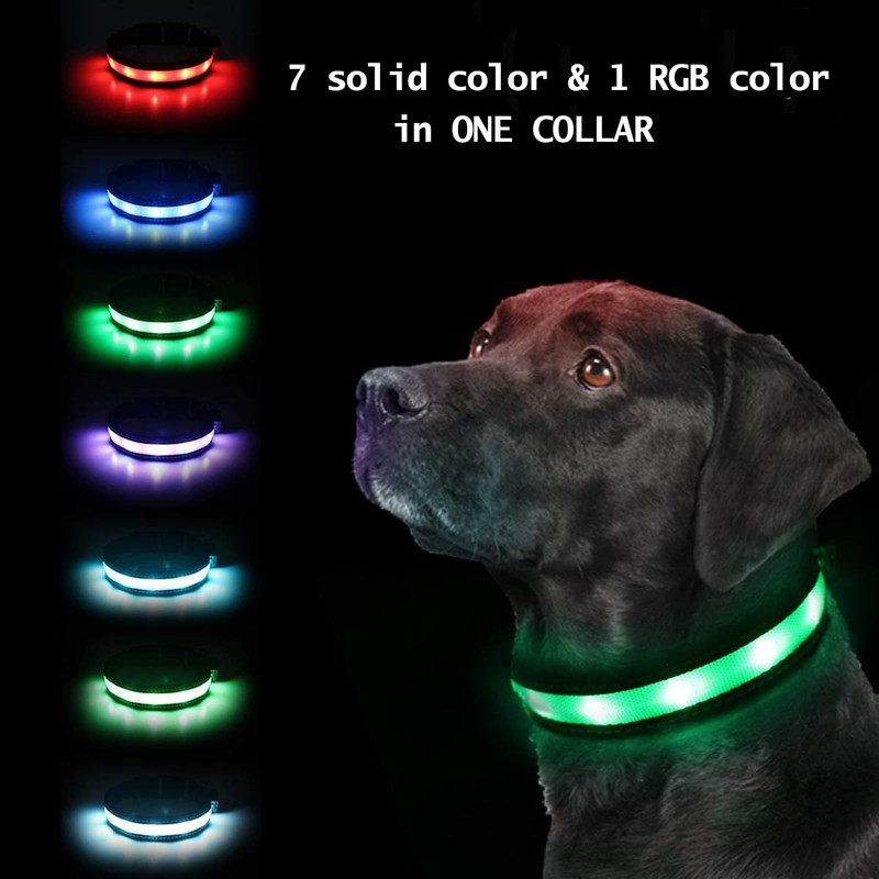 Light Up Dog Collar, Safety LED Dog Collars Rechargeable 7
