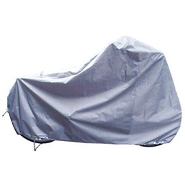 Phosphorus Stingray Hem siboru The Type 4 Silver 458 – 00014 918097 