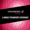 5 Gum Sour Strawberry Sugar Free Chewing Gum Bulk Pack,