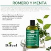 Difeel Champú fortalecedor del cabello de romero y menta, 12