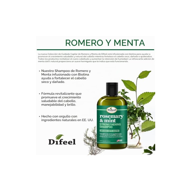 Difeel Champú fortalecedor del cabello de romero y menta, 12