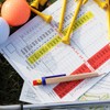 Adhere 25pcs Golf Pencils with Eraser Pre sharpened Hexagon half