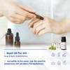 HIQILI Basil Essential Oil 10ML