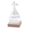 Storm Glass Weather Station,Water Drop Weather Predictor with Wood Base