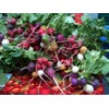 Ohio Heirloom Seeds Radish Seed Assortment- 6 Heirloom Varieties
