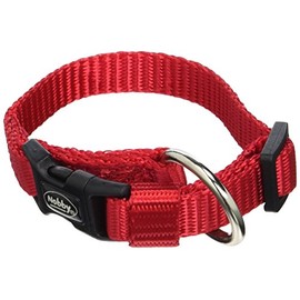 Nobby Dog Collar Classic