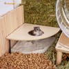 Niteangel Animal Sand-Bath Box: - Acrylic Critter's Sand Bath Shower