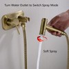 TRUSTMI Bathroom Concealed Hot and Cold Bidet Spray Set Hand