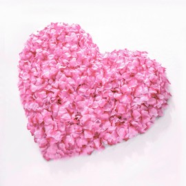 enttgo 1000 Pieces Artificial Silk Rose Petals Flower Decoration Wedding Party (Pink Gradient)
