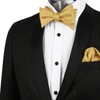 Alizeal Men's Modern Paisley Cravat & Pocket Square Set, 133-Golden