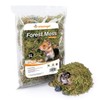 Niteangel 5L Forest Moss Soft Natural Moss Bedding Nesting for