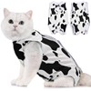 Avont Cat Recovery Suit, Kitten Onesies for After Surgery, Surgical