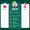 Stur Liquid Water Enhancer | Strawberry Watermelon | Naturally Sweetened