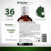 Bear Grape Plant Fluid 50 ml