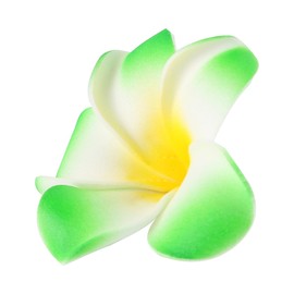 Gorise 10 Multi-Color Hawaiian Plumeria Flower Hair Clips Artificial Tropical Flower Clips for Beach Party Wedding Hair Accessories 7cm Set of 10