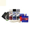 ColorRite Aerosol Automotive Touch-up Paint for Nissan Xterra - Cloud