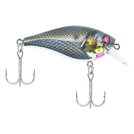 SquareBull Black Silver 3.5 (1/4 oz)