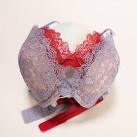 TANI co Bra Washing Net, For Storing 2 Pieces, Drum Type, Made in Japan