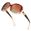 SIPHEW Women's Polarised Oversized Elegant Classic Sunglasses Women Oversize with