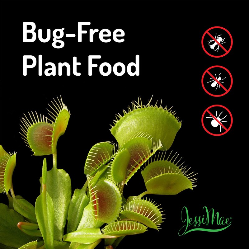 Jessi Mae Carnivorous Plant Food Drops - 30 ml -