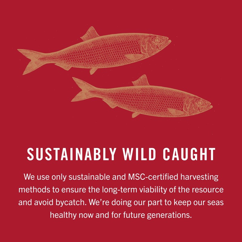 King Oscar Kipper Snacks, 3.54 Ounce Cans (Pack of 12),