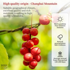 DOZO Schisandra Berry Dried Schisandra Chinensis 7.76oz/220g Schisandra Berry Tea Dried Omija Tea Whole Berries Dried Loose Berry Herbs Pure Natural Wu Wei Zi Caffeine Free 五味子