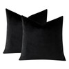 OTOSTAR Pack of 2 Velvet Soft Decorative Throw Pillow Covers