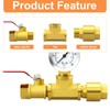 GASHER 1PCS Brass Check Valve DN20 3/4" Female and Male