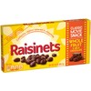 Raisinets, Milk Chocolate Covered California Raisins, Movie Theater Candy Box,