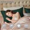townssilk Both Side 100% 19mm Silk Pillowcase Queen Size Pillow