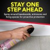 Raid Ant & Roach Killer 26, Fragrance Free Bug Killer