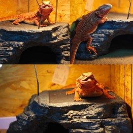 X-Large Bearded Dragon Basking Platform, Lizard, Snake or Reptile Hide with Heat Storage Slate Stone, 13x12x5 Inch Oversized Gecko Hide Cave